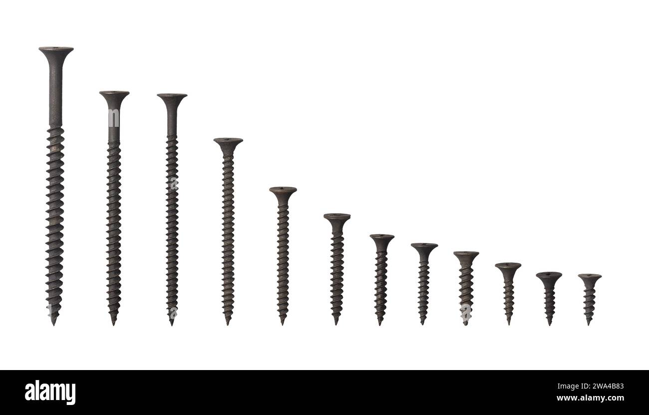 set di viti metalliche di diverse dimensioni isolate su sfondo bianco, viti per cartongesso con rivestimento in fosfato nero per proteggere dalla ruggine utilizzata nell'edilizia Foto Stock