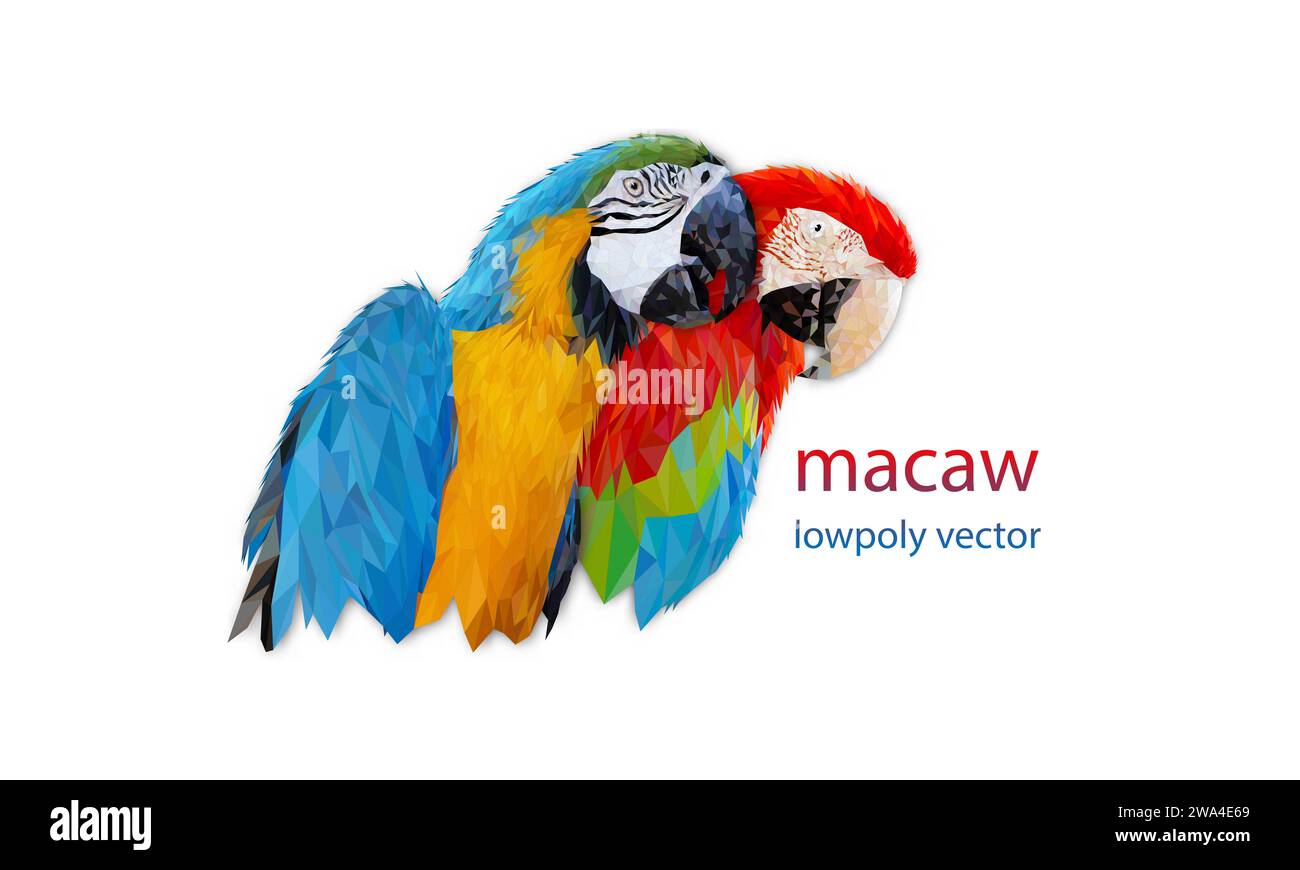 Polygon Graphics due pappagallo di macaw di uccelli isolati su un'illustrazione vettoriale di sfondo bianco Illustrazione Vettoriale