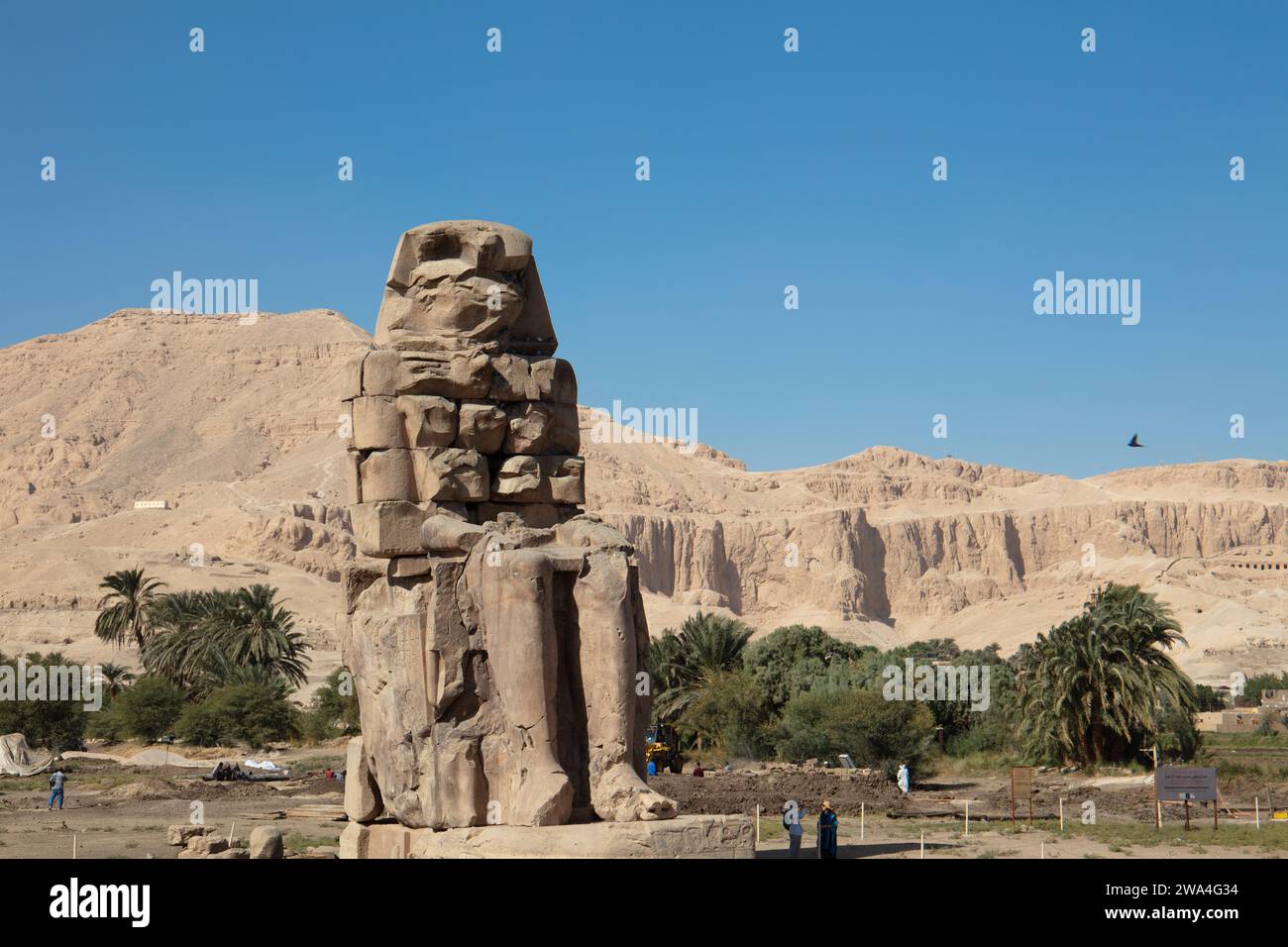 Colosso di Memnon, Luxor, Egitto Foto Stock