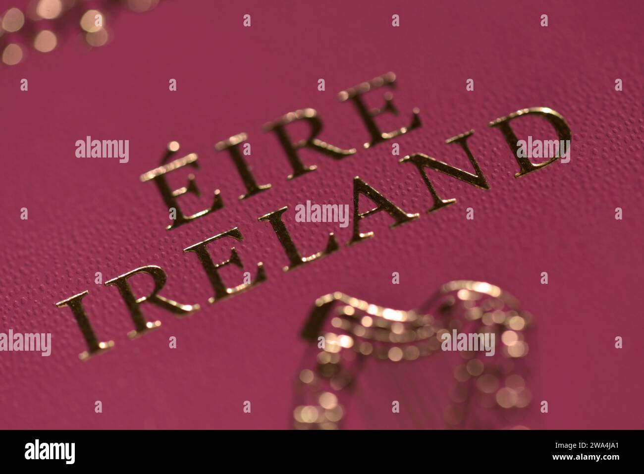 Eire Ireland primo piano testo dettagliato sul passaporto irlandese Foto Stock