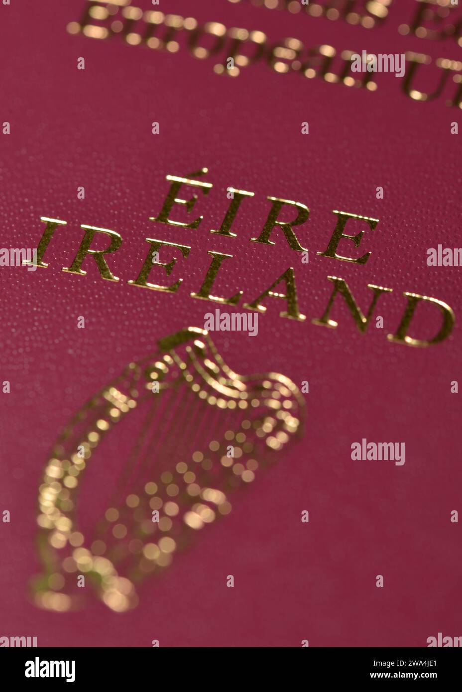 Dati del passaporto irlandese Foto Stock