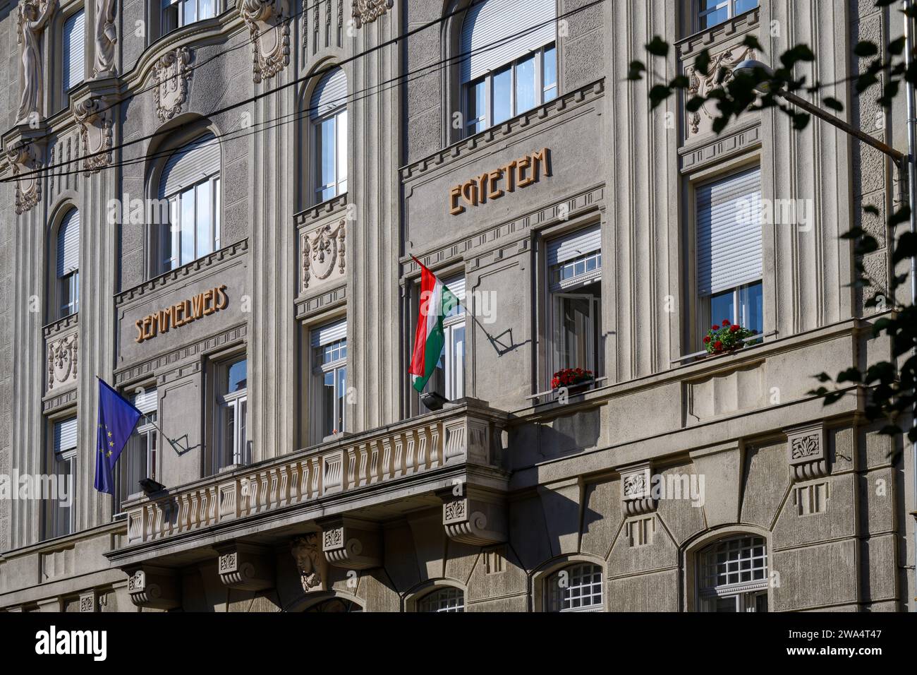 Semmelweis Egyetem / Semmelweis University, Facoltà di Medicina, Budapest, Ungheria Foto Stock