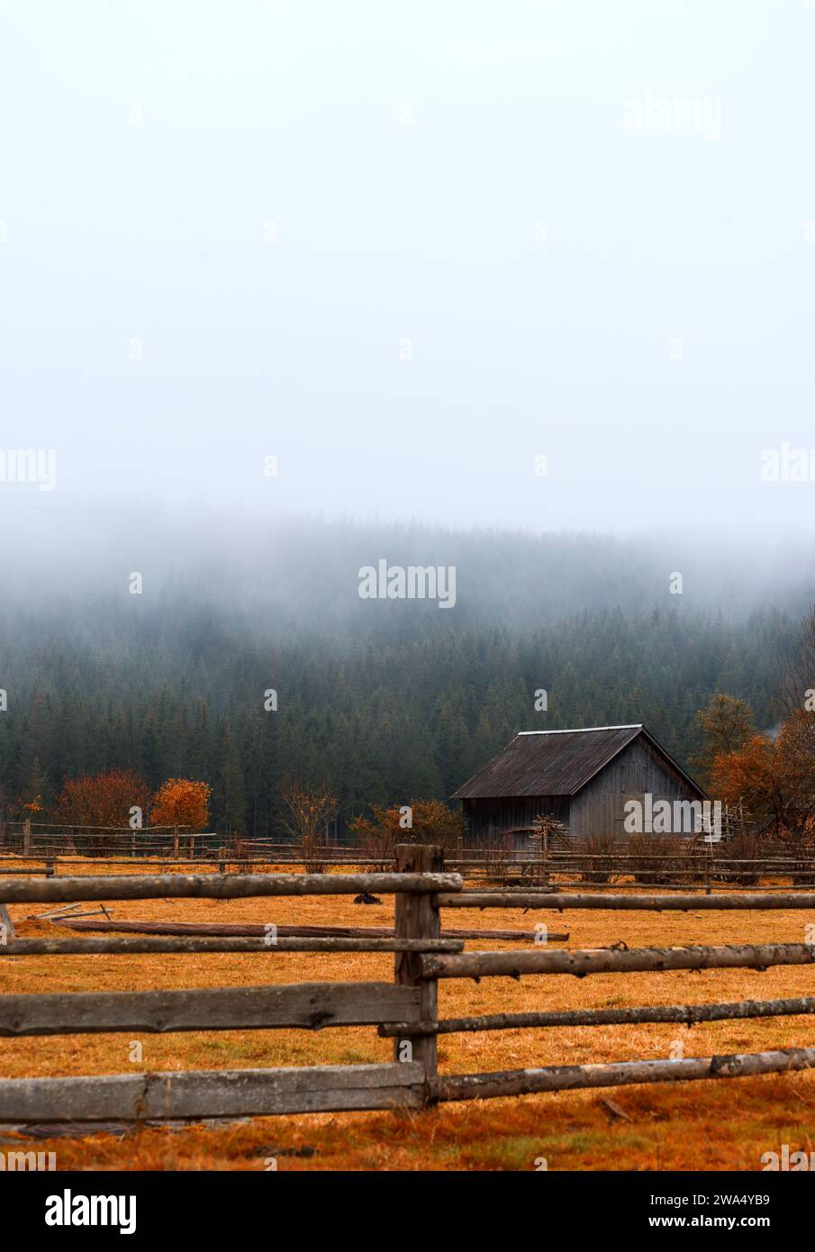 Splendido paesaggio autunnale di una casa in legno tra le montagne con foresta nebbiosa e erba arancione. Messa a fuoco selettiva. Foto Stock