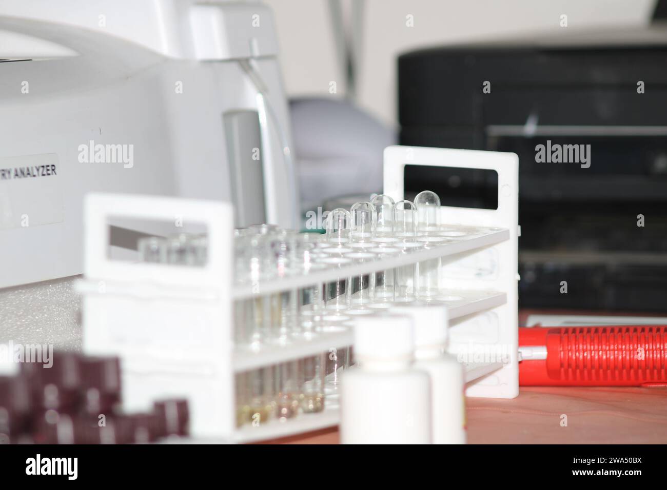 Provetta in vetro per analisi chimiche da laboratorio. India Foto Stock