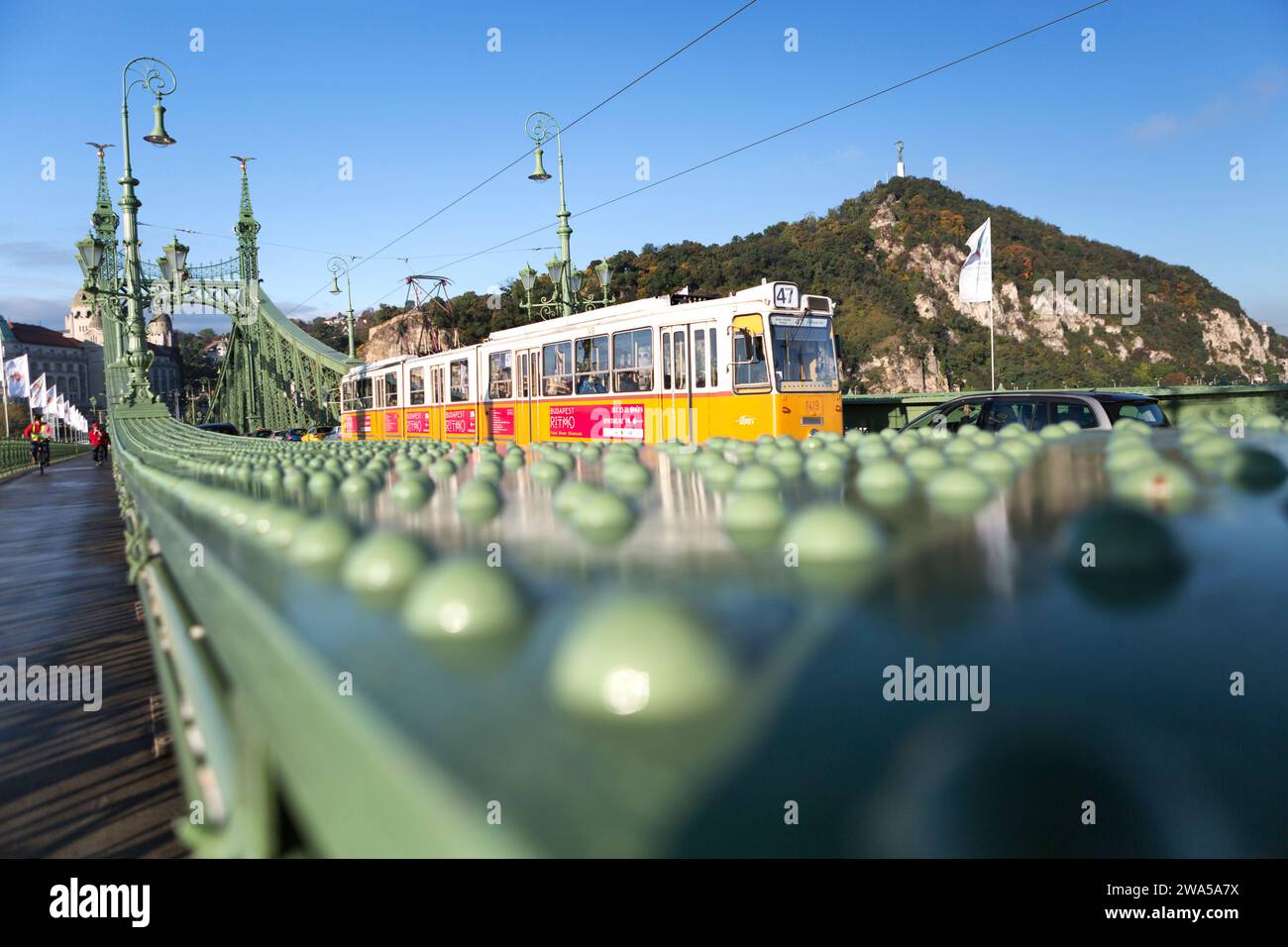 Ungheria, Budapest, city tram andando oltre il Ponte della Libertà sul fiume Danubio. Foto Stock