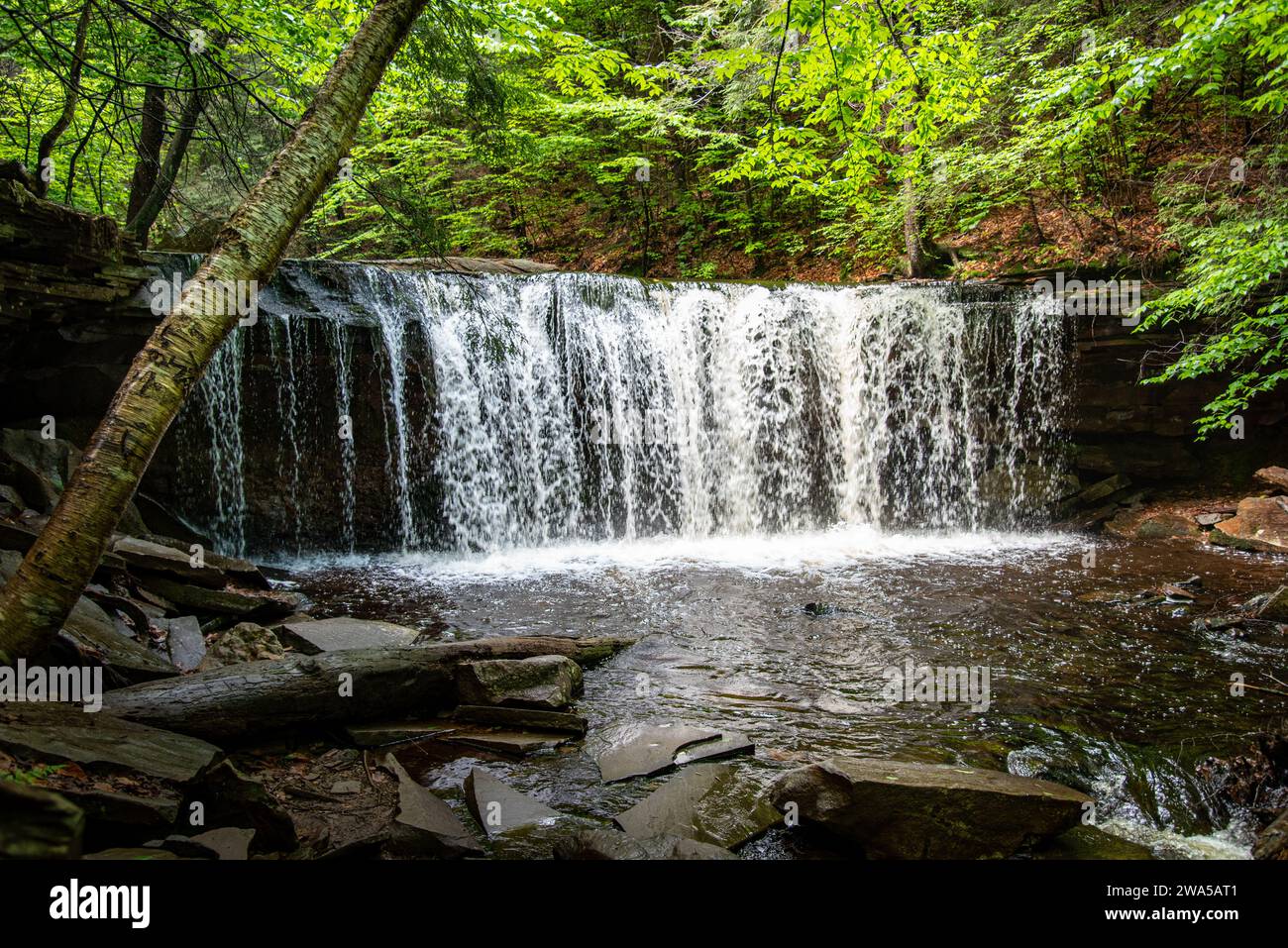 Sotto le cascate Oneida in estate Foto Stock