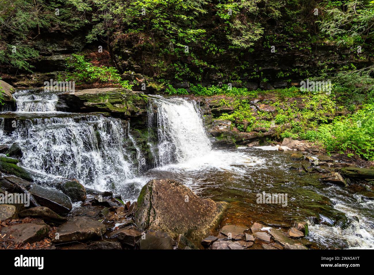 Cayuga Falls Ganoga Glen Foto Stock