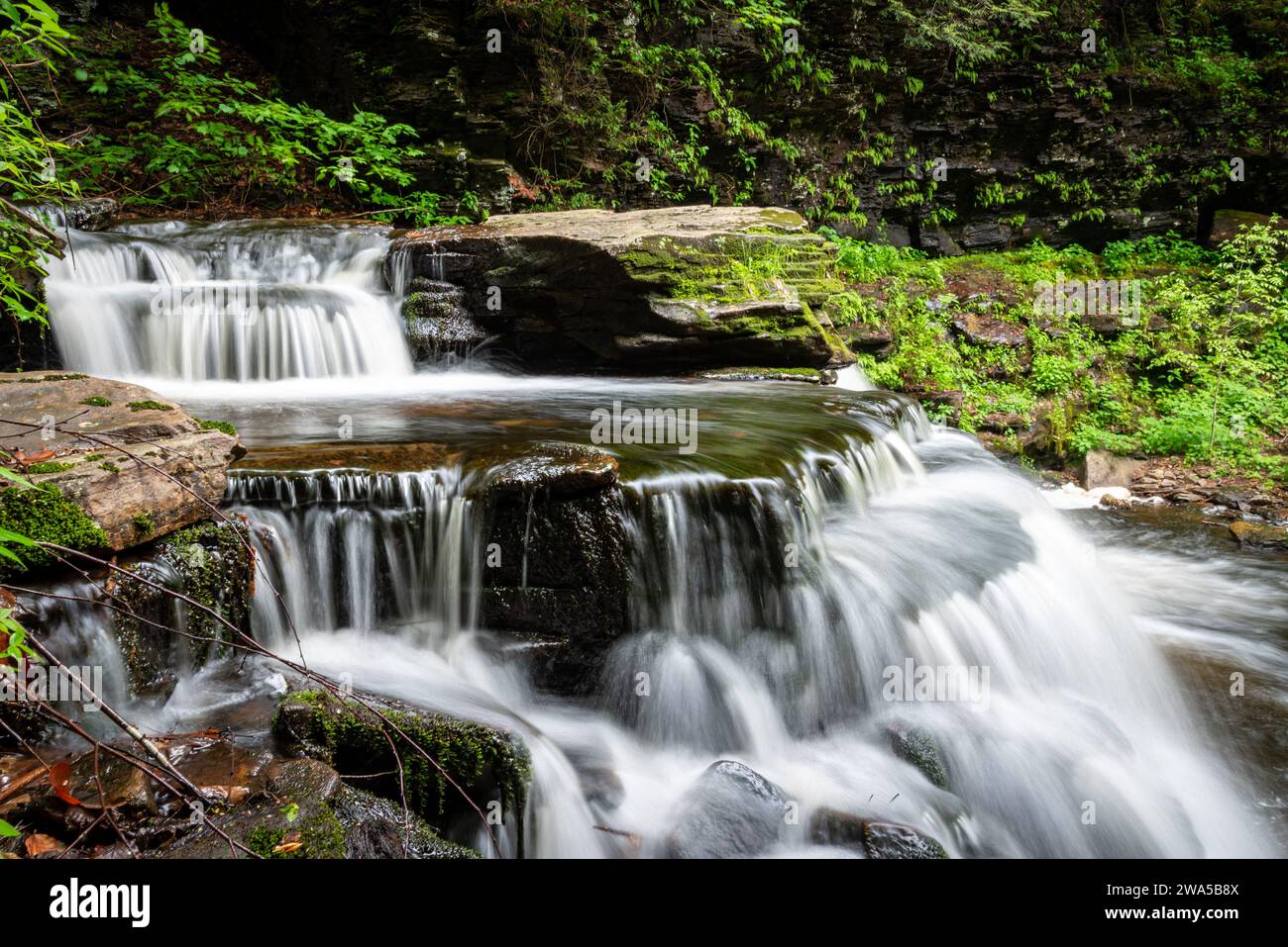 Splendide cascate di Cayuga a Ricketts Glen Foto Stock
