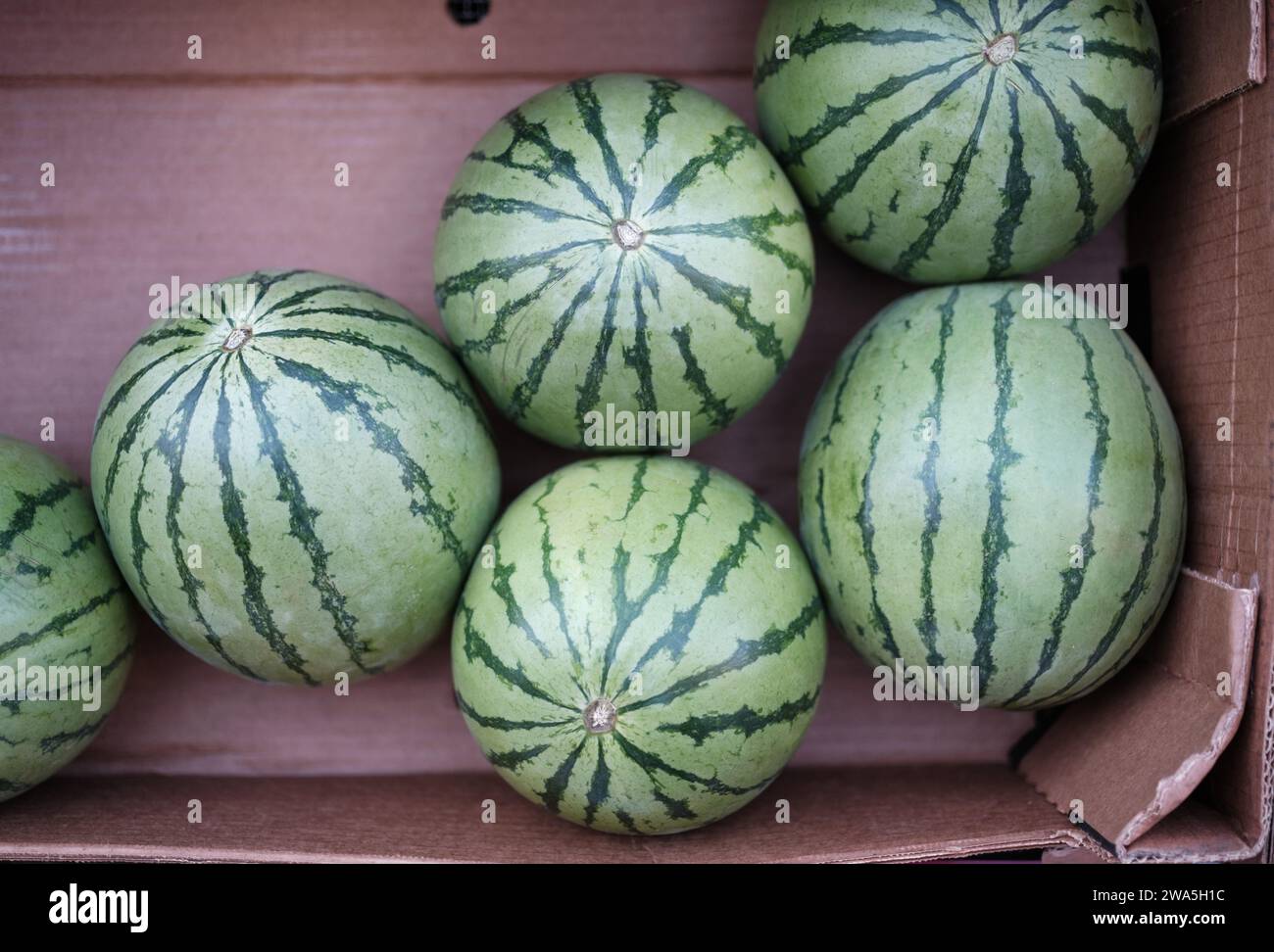 Anguria fresca al Farmer's Market Stall Foto Stock