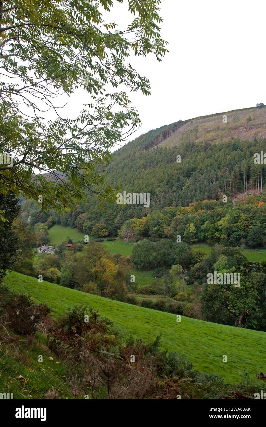 Horseshoe Pass, vicino a Llangollen, Galles Foto Stock