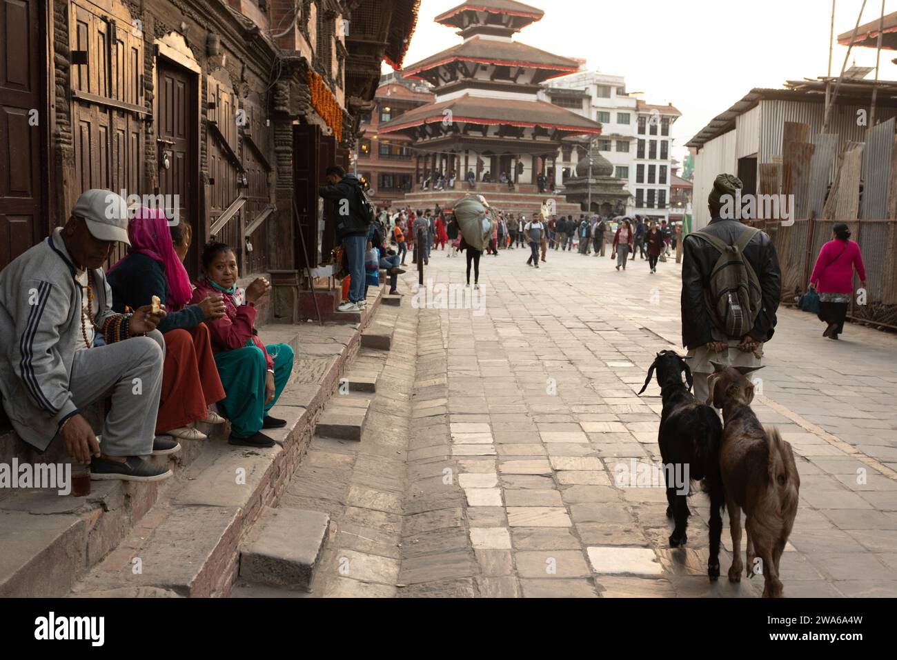 Katmandu, Nepal - 17 novembre 2023: Un vecchio non identificato fa una passeggiata con le sue capre nella piazza durbar di kathmandu. piazza kathmandu durbar è una di queste Foto Stock