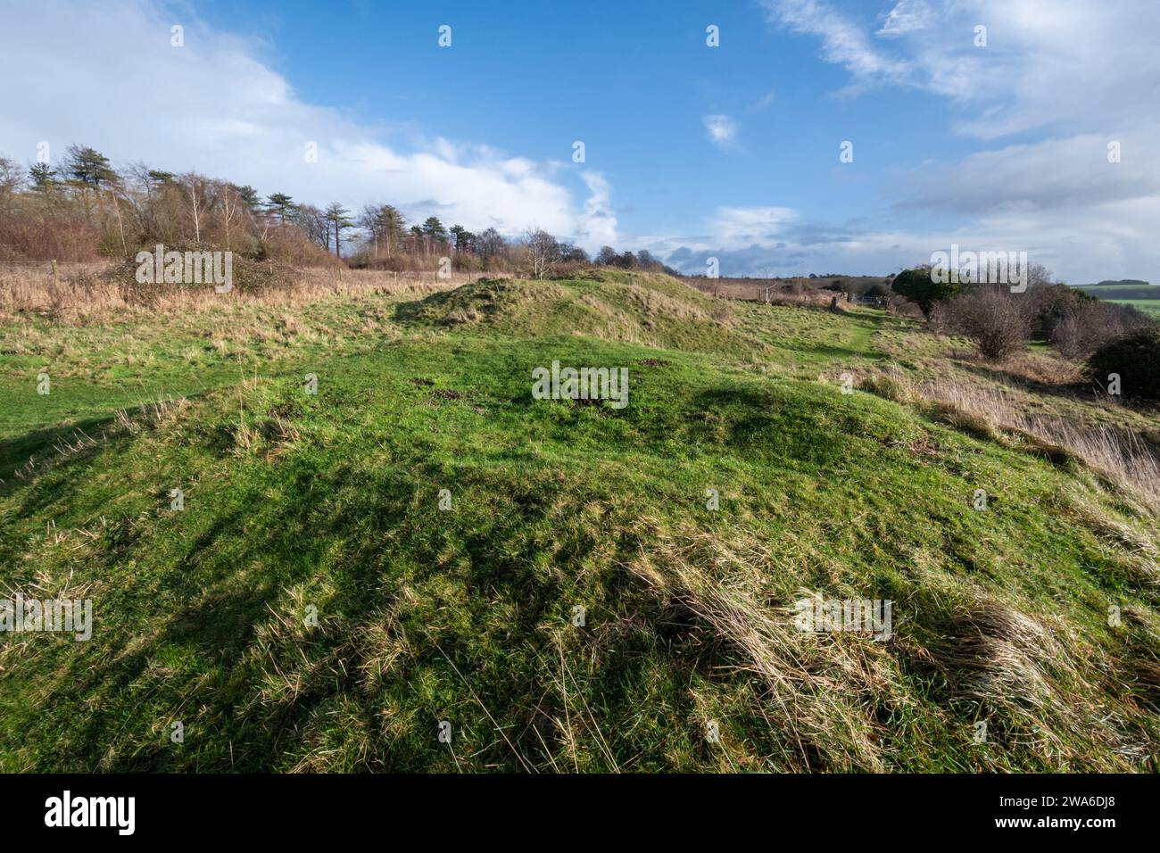 Bronze Age Round Barrows o tumuli nella riserva naturale Magdalen Hill Down vicino a Winchester, Inghilterra, Regno Unito. Questi sono monumenti antichi programmati. Foto Stock