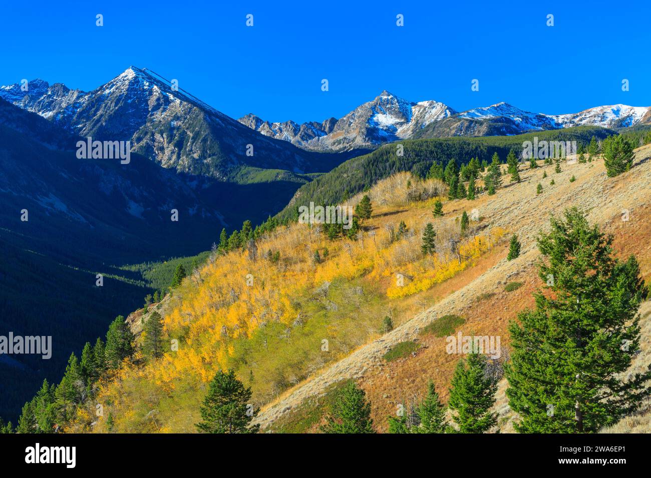 colori autunnali nella sezione delle vette spagnole della catena madison, nella natura selvaggia di lee metcalf vicino a gallatin gateway, montana Foto Stock