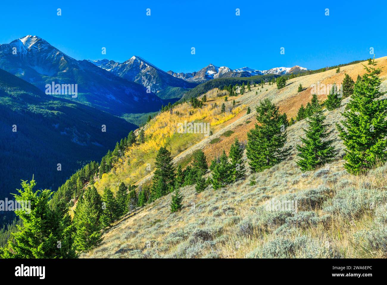 colori autunnali nella sezione delle vette spagnole della catena madison, nella natura selvaggia di lee metcalf vicino a gallatin gateway, montana Foto Stock