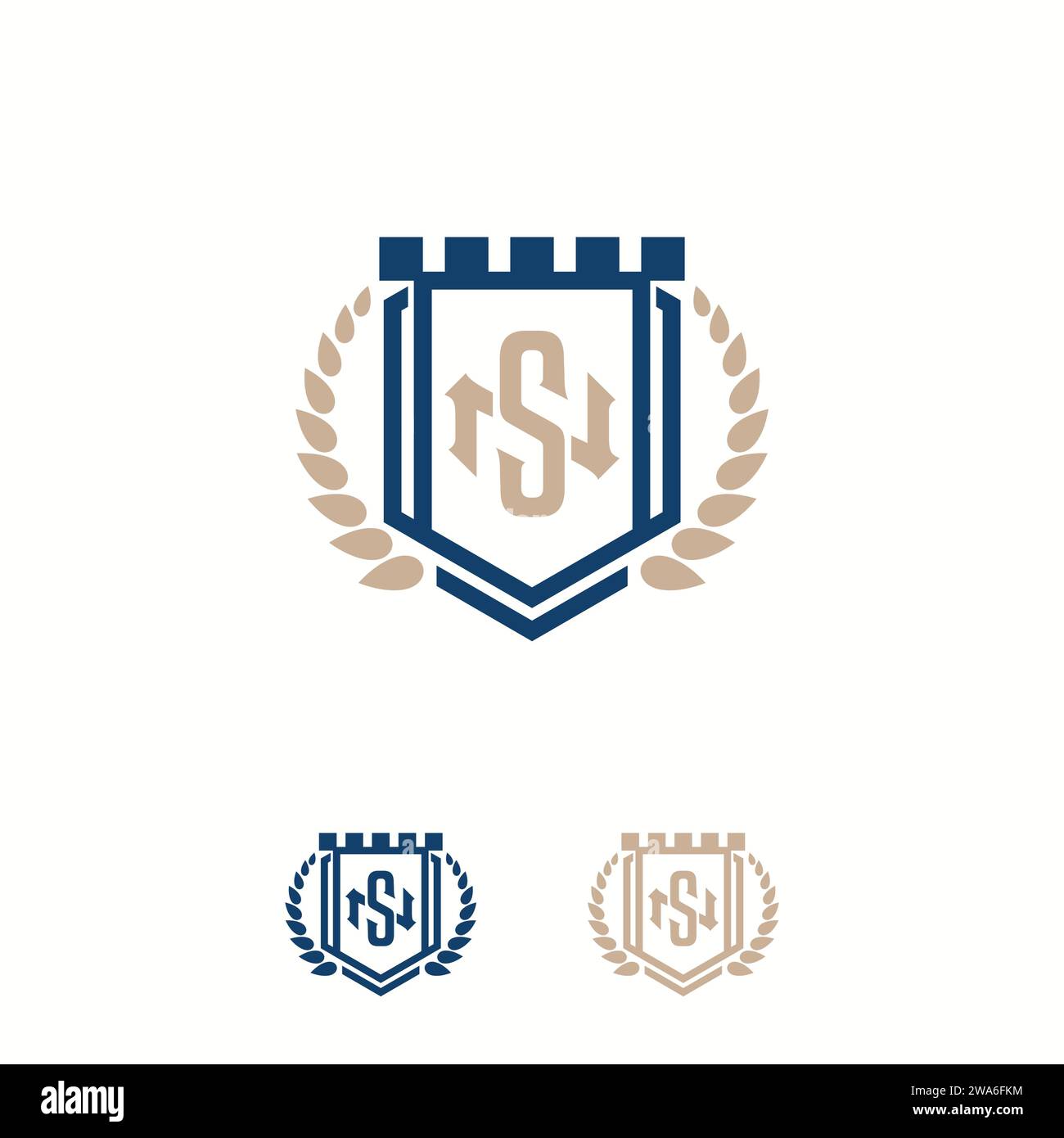 Elegante scudo e modello di design con logo vettoriale NS Letter. Illustrazione vettoriale Illustrazione Vettoriale