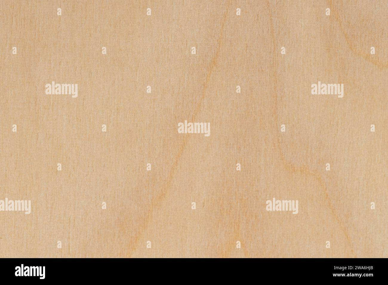 Trama della fibra di legno con linee curve macro vista ravvicinata Foto Stock