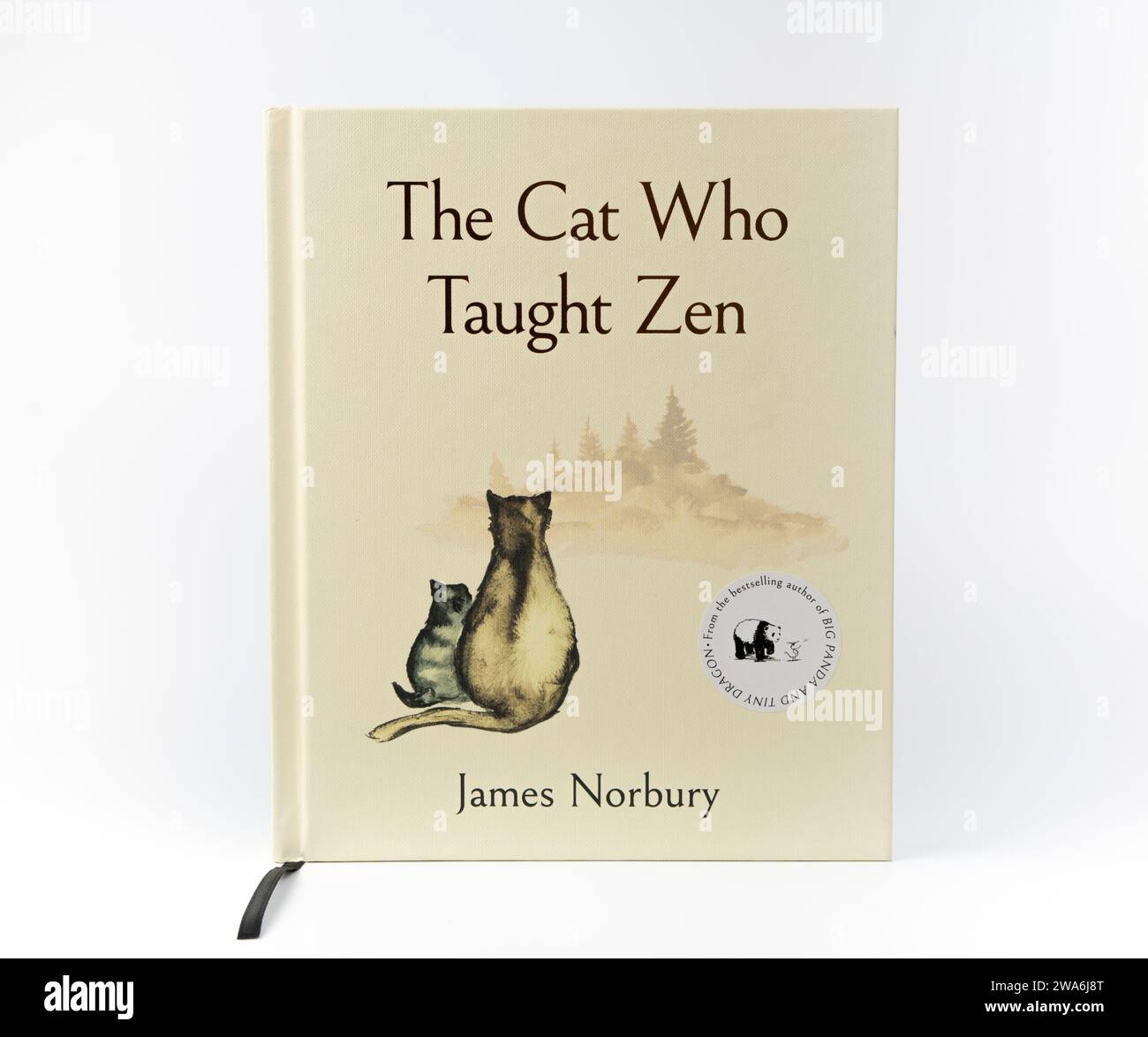 Nova Bana, Slovacchia - 31 dicembre 2023: Il gatto che ha insegnato lo Zen, libro scritto da James Norbury, isolato su sfondo bianco. Copertina del libro. Foto Stock