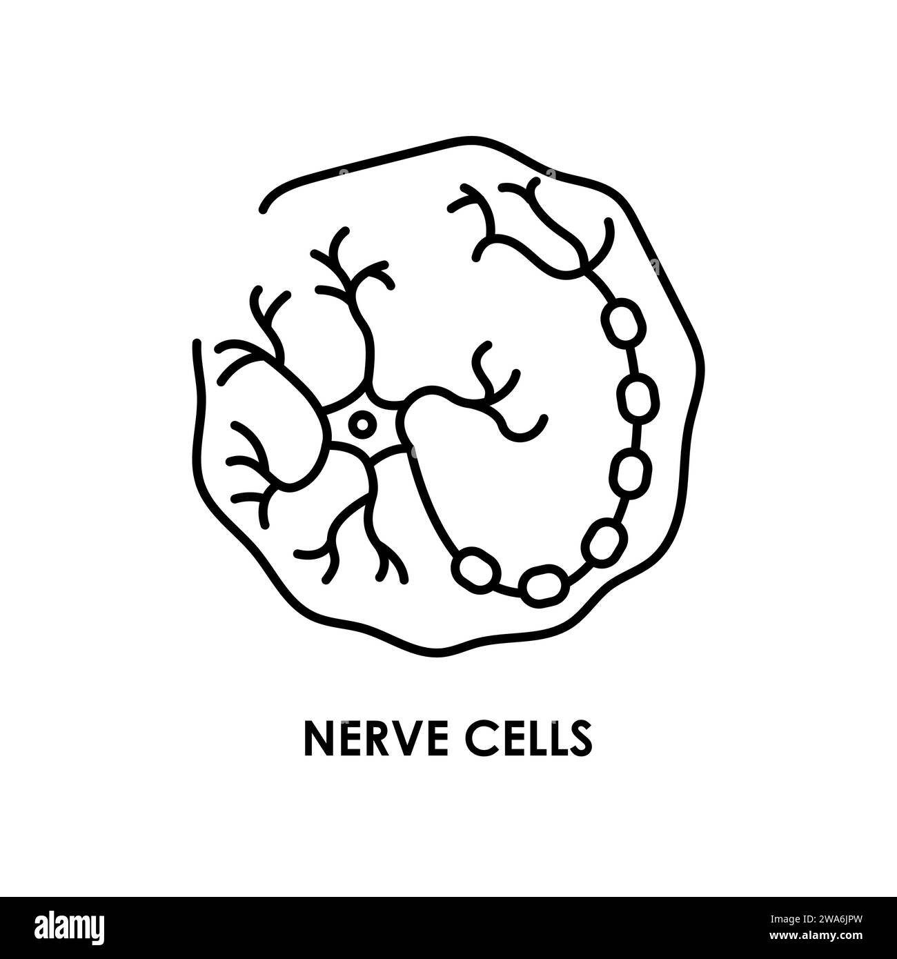 Icona della linea di colore della cellula del neurone cerebrale. Microrganismi microbi, batteri. Elemento isolato vettore. Tratto modificabile. Illustrazione Vettoriale