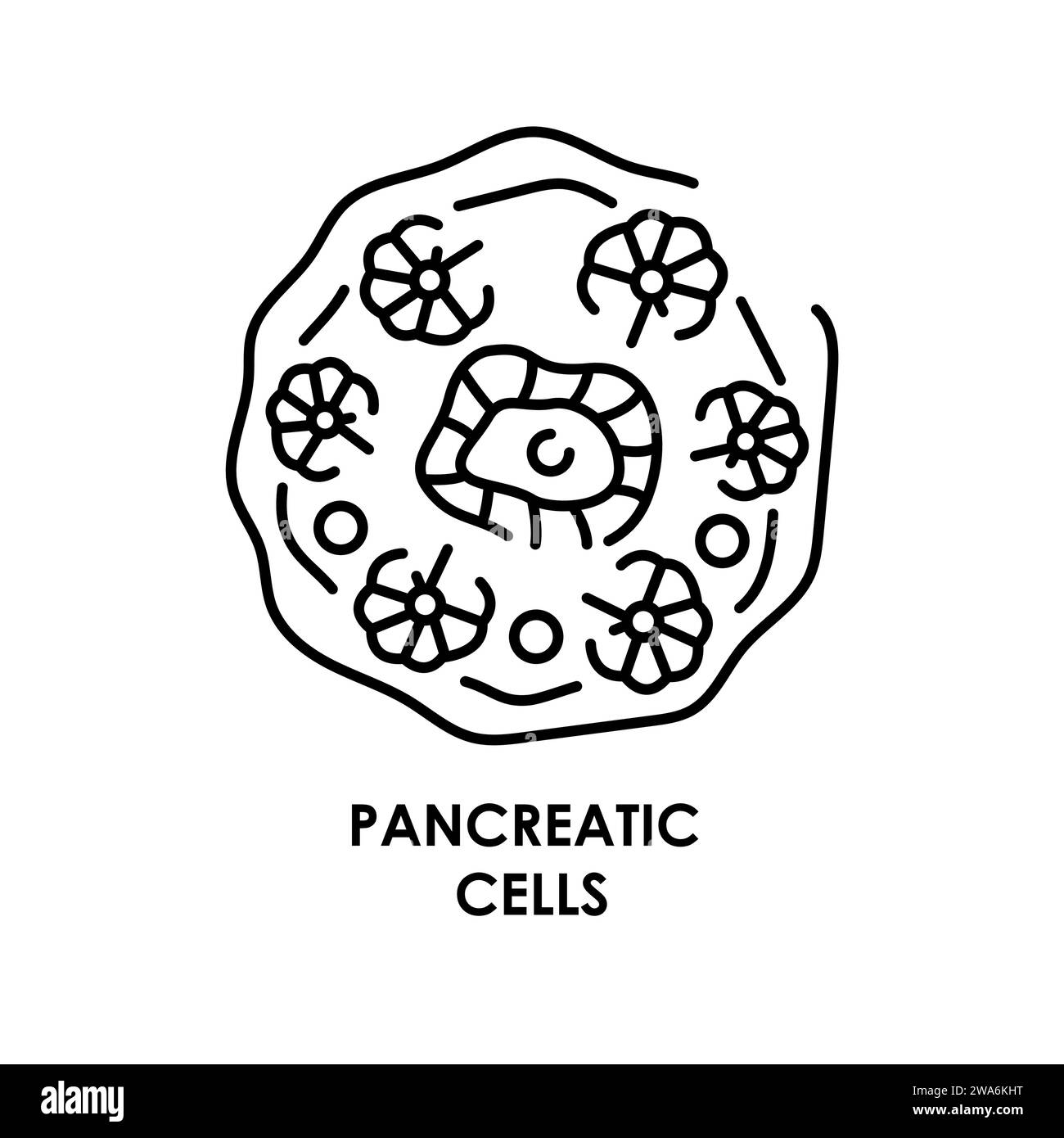 Icona della linea di colore della cella pancreatica. Microrganismi microbi, batteri. Elemento isolato vettore. Tratto modificabile. Illustrazione Vettoriale