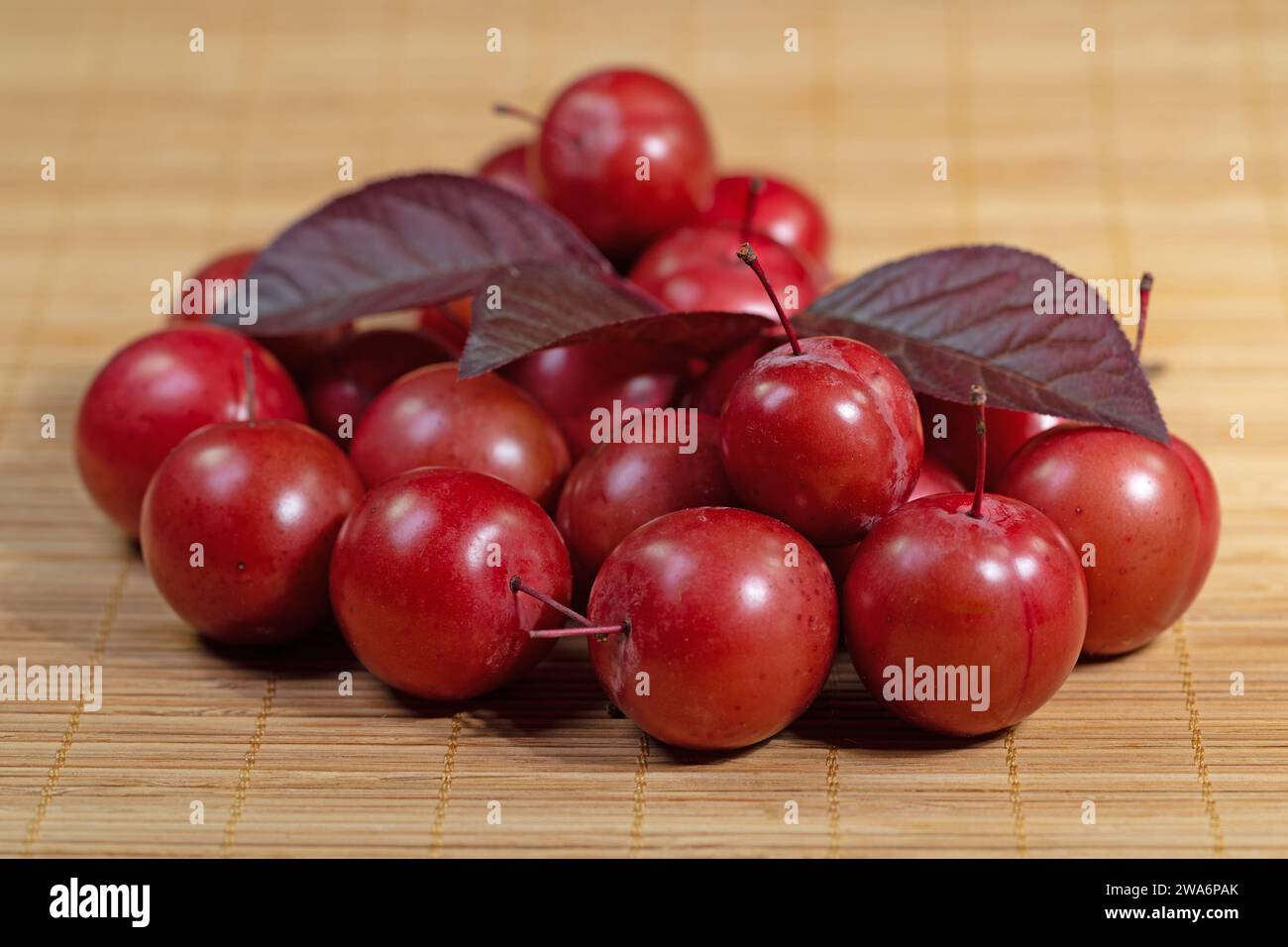 Prugne di ciliegio, Prunus cerasifera, in primo piano Foto Stock