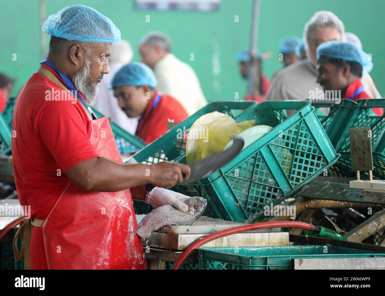 Camera per le pulizie presso il famoso mercato del pesce centrale di Jeddah Foto Stock