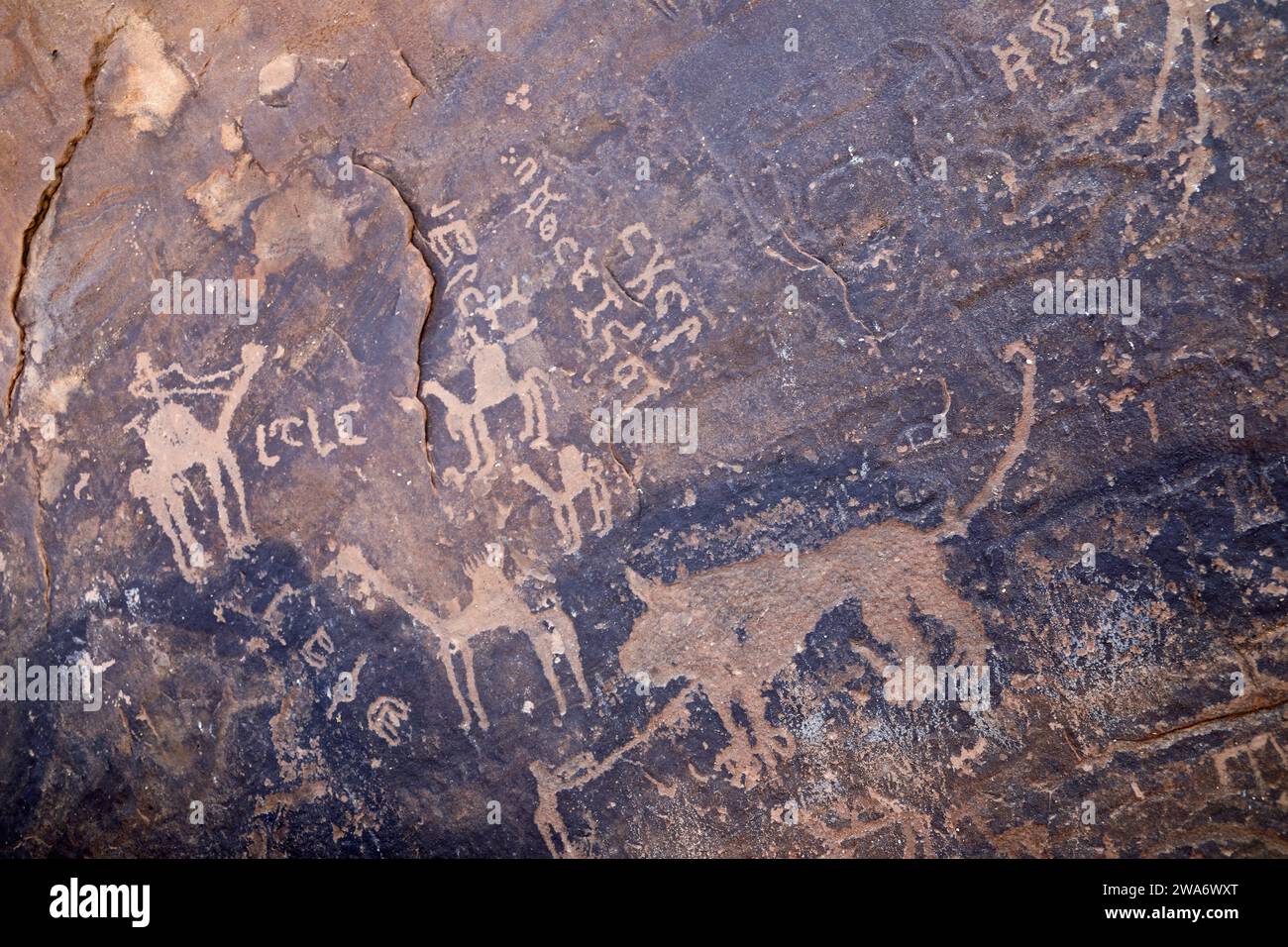 Antica arte rupestre a Jubbah nella provincia di Hail in Arabia Saudita Foto Stock