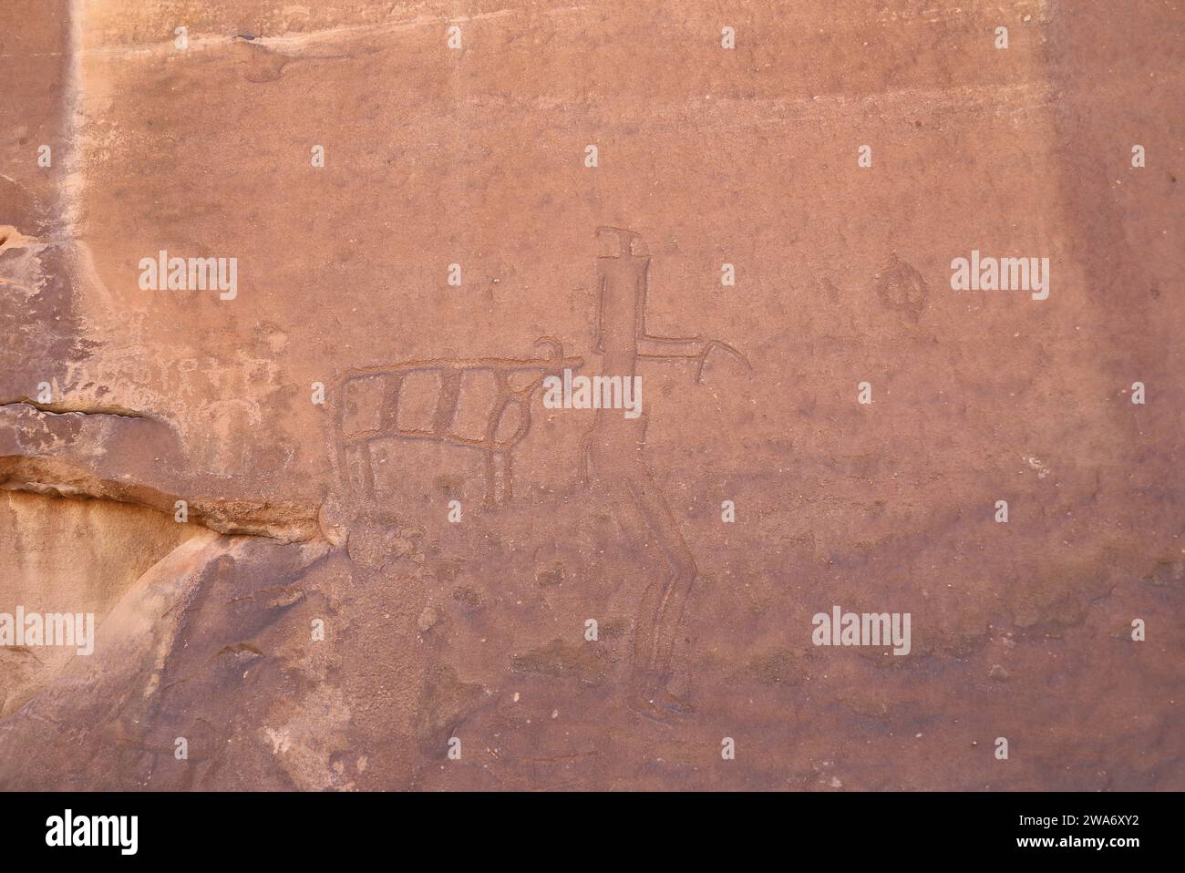 Antica arte rupestre a Jubbah nella provincia di Hail in Arabia Saudita Foto Stock