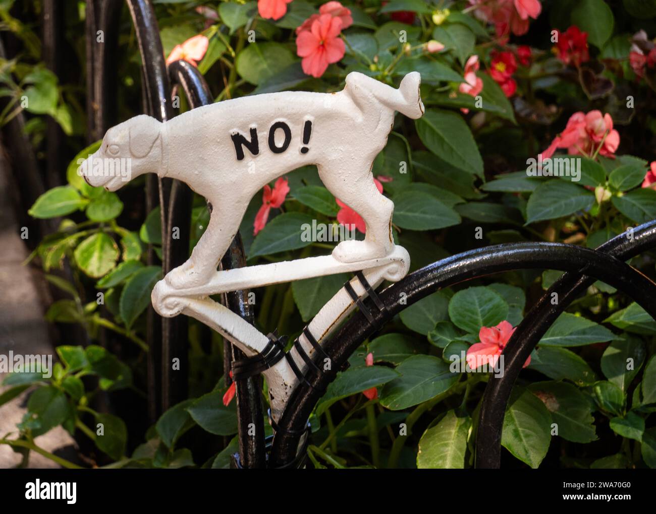 Non c'e' un cartello per fare pipi' di cani su un letto di fiori a Brooklyn New York Foto Stock