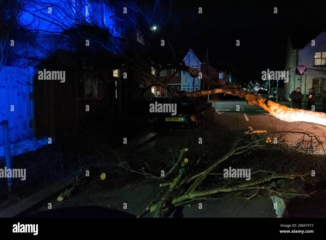 Beedell Avenue, Westcliff on Sea, Essex, Regno Unito. 2 gennaio 2024. I forti venti di Storm Henk hanno fatto saltare un albero su un'auto e una proprietà, chiudendo la strada. I chirurghi degli alberi hanno iniziato a lavorare per rimuovere l'albero, con la polizia a portata di mano che crea luce blu Foto Stock