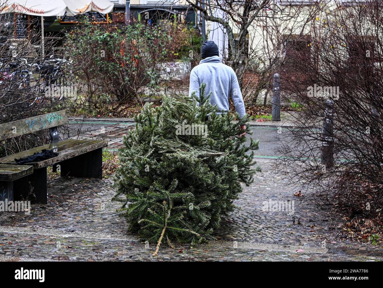 Berlino, Germania. 2 gennaio 2024. Un abitante locale tira un albero di Natale sul lato della strada su Oderberger Strasse. Crediti: Jens Kalaene/dpa/Alamy Live News Foto Stock