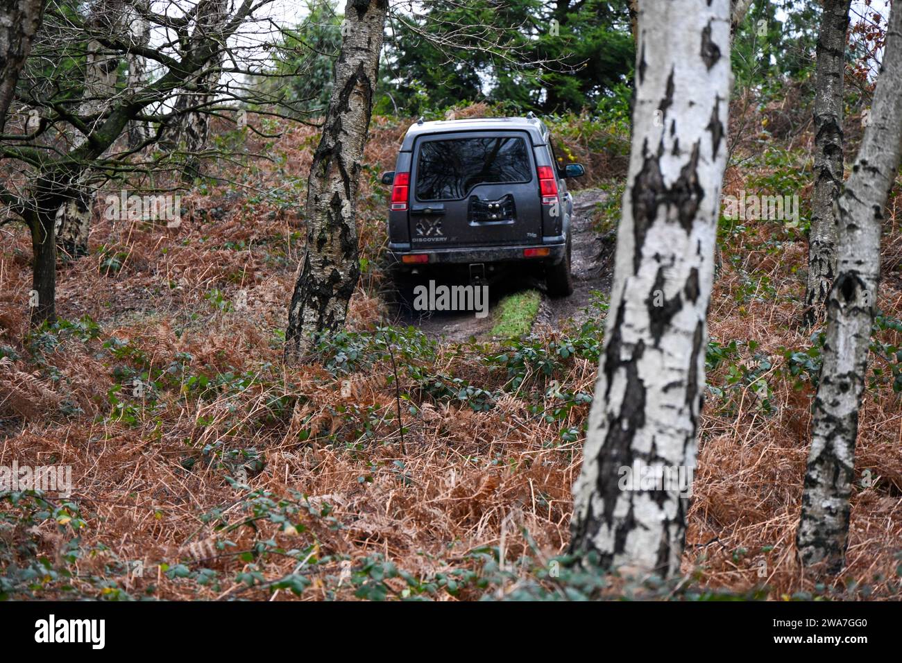 Esperienza fuoristrada 4x4 in un veicolo Green Landrover Discovery, 4 per 4, fuoristrada Foto Stock