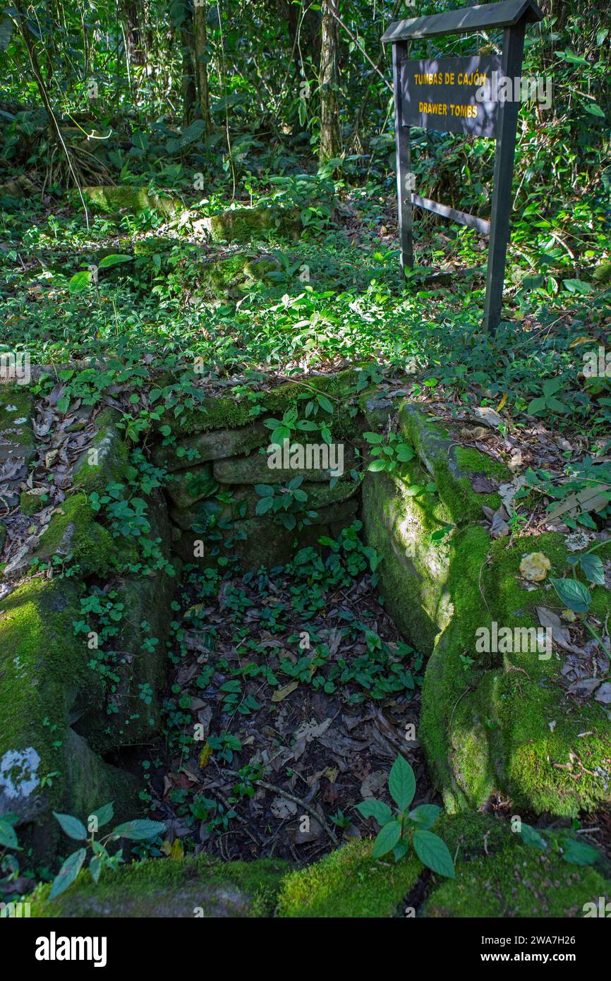 Tombe a cassetti nella foresta pluviale, monumento nazionale Guayabo, Turrialba, Costa Rica. Foto Stock