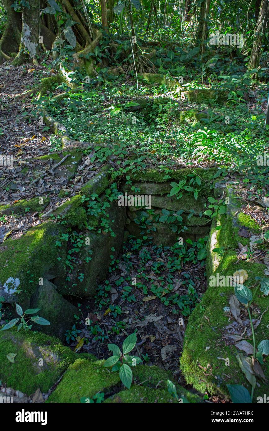 Tombe a cassetti nella foresta pluviale, monumento nazionale Guayabo, Turrialba, Costa Rica. Foto Stock