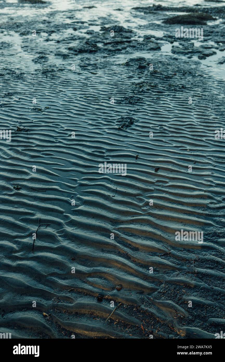 Onde di sabbia, ondulazioni blu scuro sulla spiaggia del Pacifico nord-occidentale Foto Stock