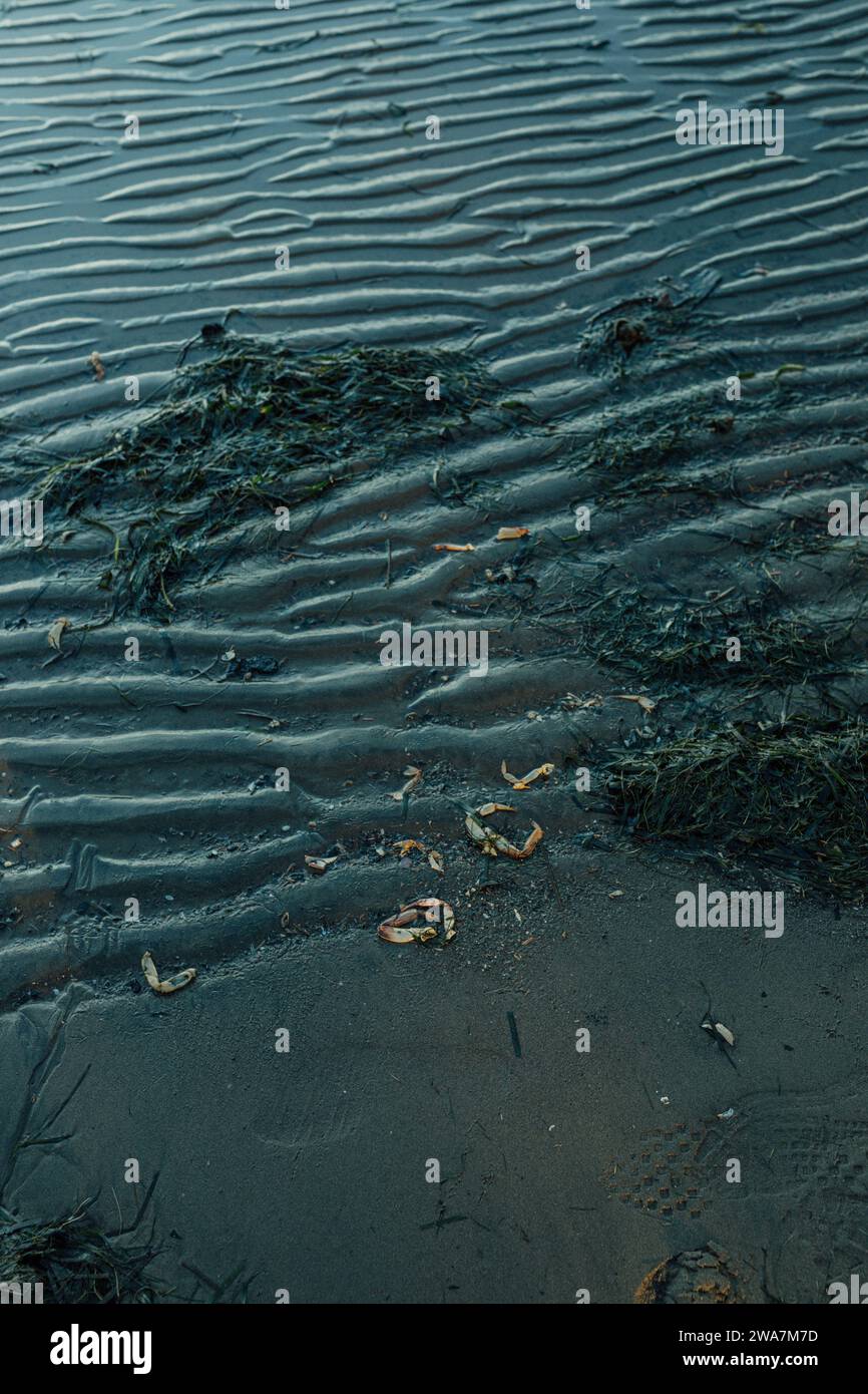 Onde di sabbia, ondulazioni blu scuro sulla spiaggia del Pacifico nord-occidentale Foto Stock