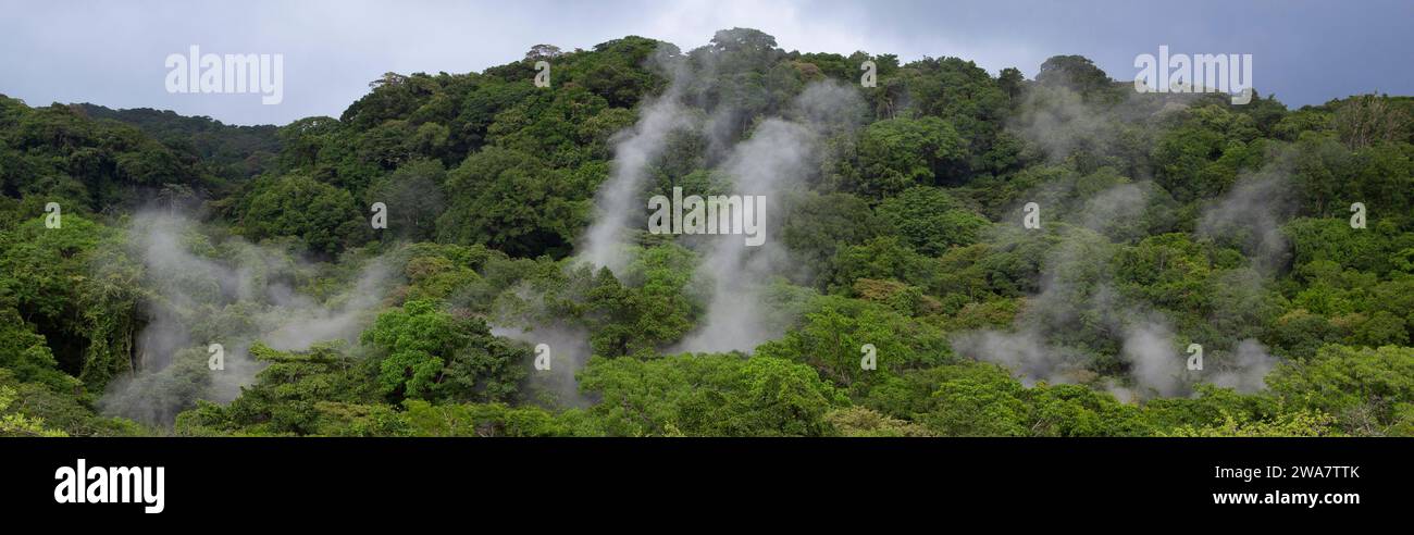 Il vapore si innalza dalle calde sorgenti vulcaniche nella foresta pluviale nel región di Las Paílas, nel Parco Nazionale Rincón de la Vieja, Guanacaste, Costa Rica. Foto Stock