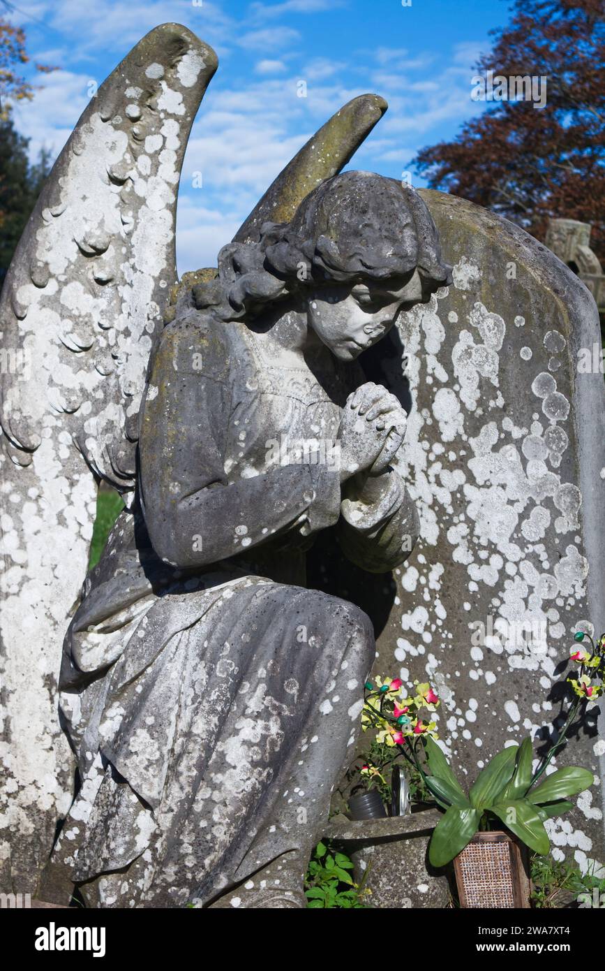 Statua in pietra di un angelo preghiero nel cimitero di Foster Hill Road, Bedford Foto Stock