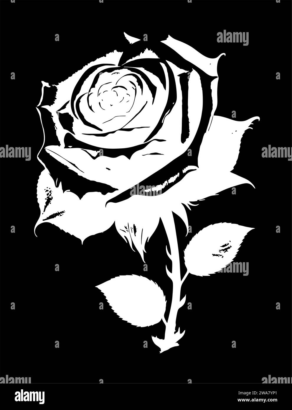 disegno lineare grafico bianco di un ramo di fiori su sfondo nero, disegno Foto Stock