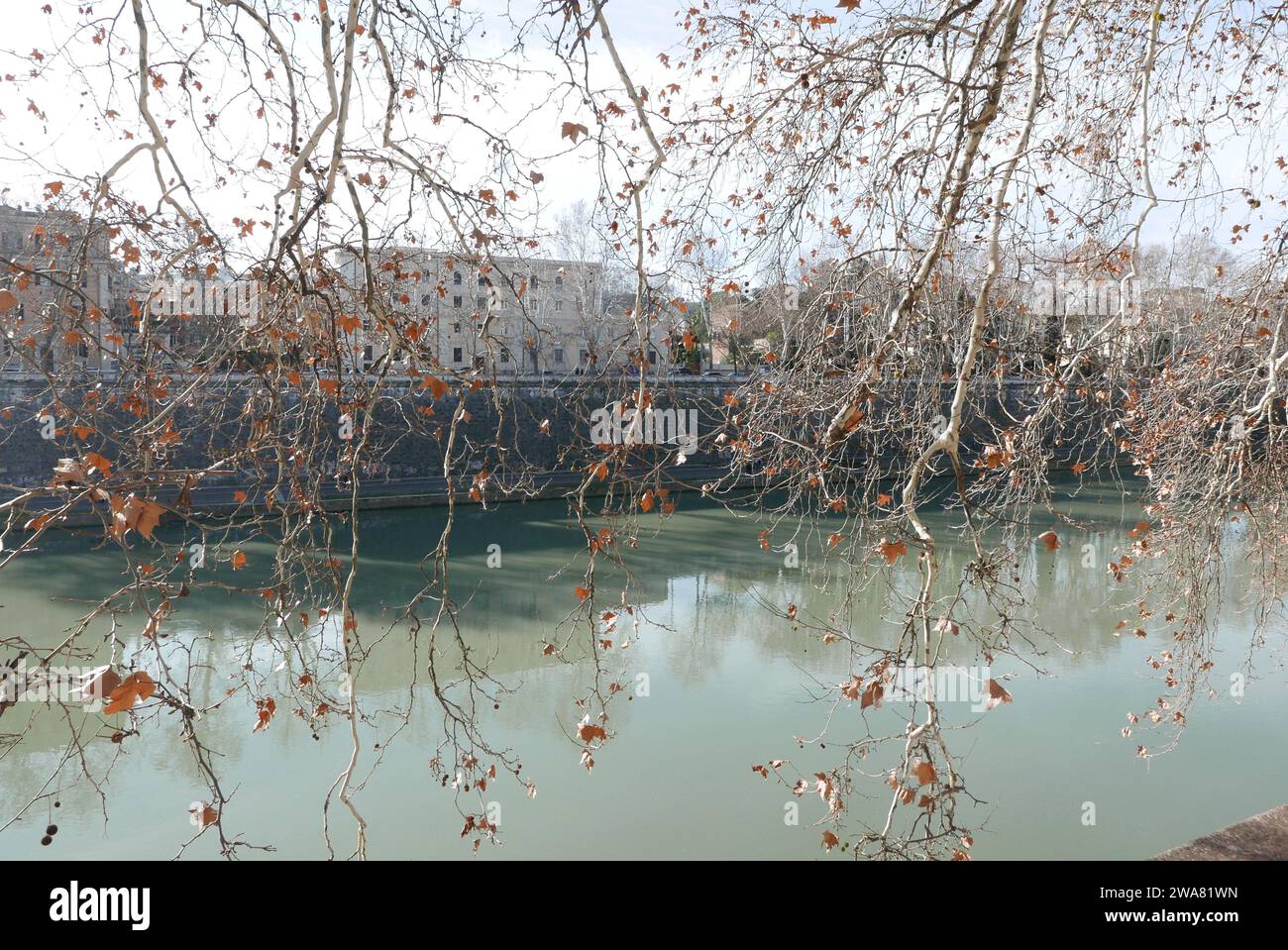 Roma, Italia. 2 gennaio 2024. Un colpo del fiume Tevere, Roma, Italia, 2 gennaio 2024. (Foto di Elisa Gestri/Sipa USA). Credito: SIPA USA/Alamy Live News Foto Stock