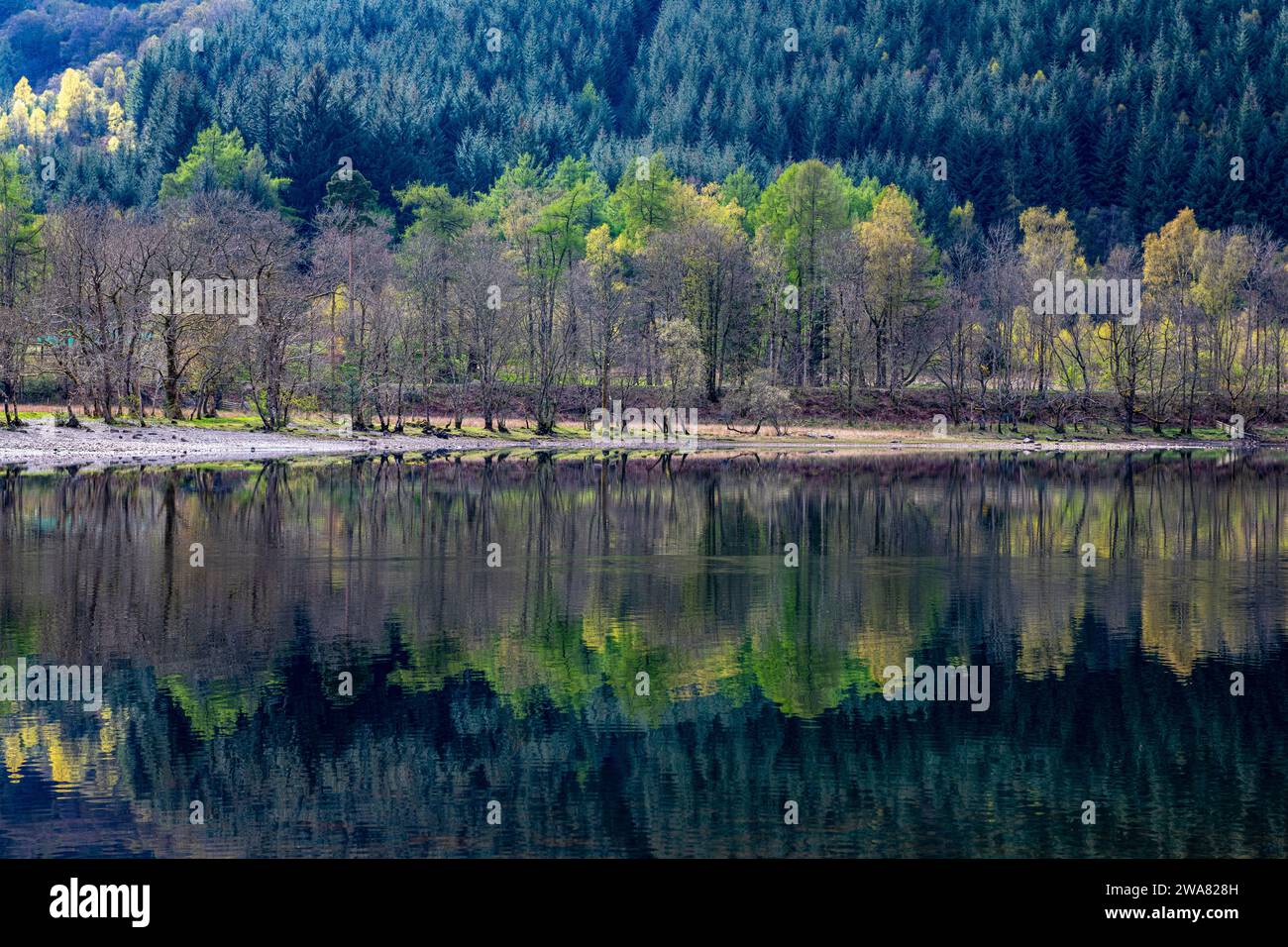 Riflessioni a Loch Lubnaig, Perthshire, Scozia, Regno Unito Foto Stock