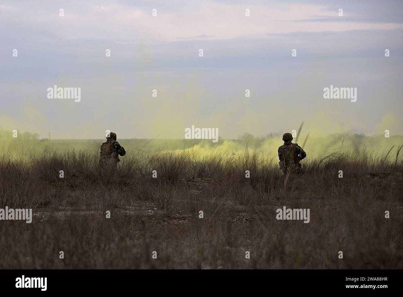 Forze militari STATUNITENSI. 170319MS784-271 CAPU MIDIA, Romania (19 marzo 2017) — Romania Marines Practice "Buddy Rushes" sulla riva del campo di addestramento di Capu Midia in Romania, durante l'esercitazione Spring Storm 2017, 19 marzo. La 24th Marine Expeditionary Unit (MEU) ha partecipato all'evoluzione della formazione marittima bilaterale condotta dalla Romania. Il 24th MEU è schierato con il Bataan Amphibious Readiness Group per sostenere le operazioni di sicurezza marittima e gli sforzi di cooperazione per la sicurezza del teatro nelle aree operative della 5th e della 6th Fleet degli Stati Uniti. (Foto del corpo dei Marines degli Stati Uniti di Lance Cpl. Melanye Martinez/rilasciata) Foto Stock
