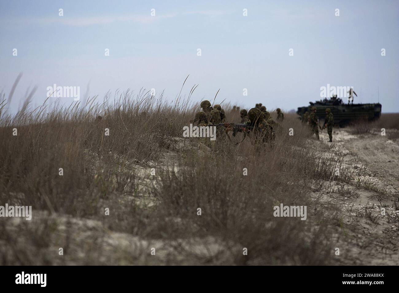 Forze militari STATUNITENSI. 170319MS784-340 CAPU MIDIA, Romania (19 marzo 2017) - i Marines rumeni assaltano la spiaggia nei campi di addestramento di Capu Midia in Romania, durante l'esercitazione Spring Storm 2017, 19 marzo. La 24th Marine Expeditionary Unit (MEU) ha partecipato all'evoluzione della formazione marittima bilaterale condotta dalla Romania. Il 24th MEU è schierato con il Bataan Amphibious Readiness Group per sostenere le operazioni di sicurezza marittima e gli sforzi di cooperazione per la sicurezza del teatro nelle aree operative della 5th e della 6th Fleet degli Stati Uniti. (Foto del corpo dei Marines degli Stati Uniti di Lance Cpl. Melanye Martinez/rilasciata) Foto Stock
