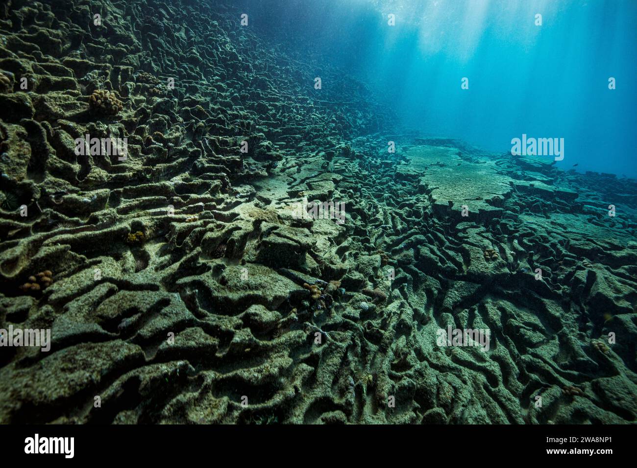 Gli unici semi tunnel nella roccia lavica a China Walls, Oahu, Hawaii, USA, con raggi del sole che penetrano nelle acque cristalline Foto Stock