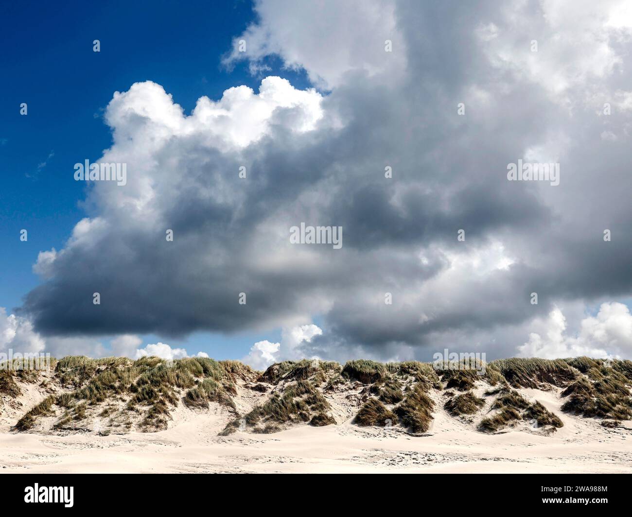 Dune sulla spiaggia danese del Mare del Nord, Vejers, Danimarca, 17.07.2023, Europa Foto Stock