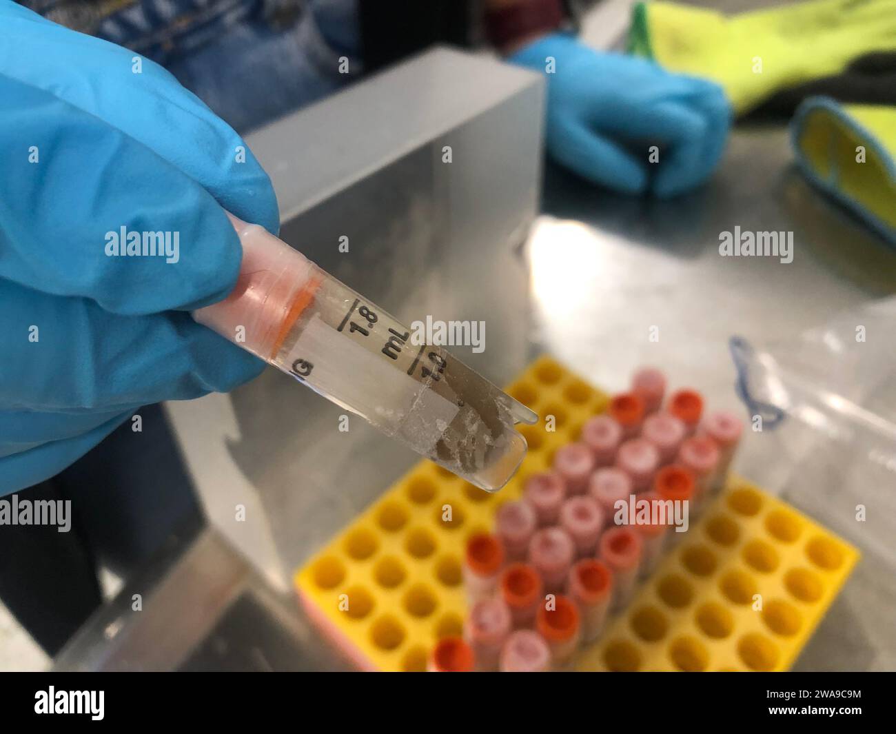 PRODUZIONE - 29 novembre 2023, Zurigo, Zürich: Un campione di feci congelate in un barattolo. Gli scienziati svizzeri vogliono creare una cassaforte per i batteri intestinali provenienti da tutto il mondo. (A dpa 'A vault for Human feces: Project mira a salvare i batteri intestinali') foto: Christiane Oelrich/dpa Foto Stock