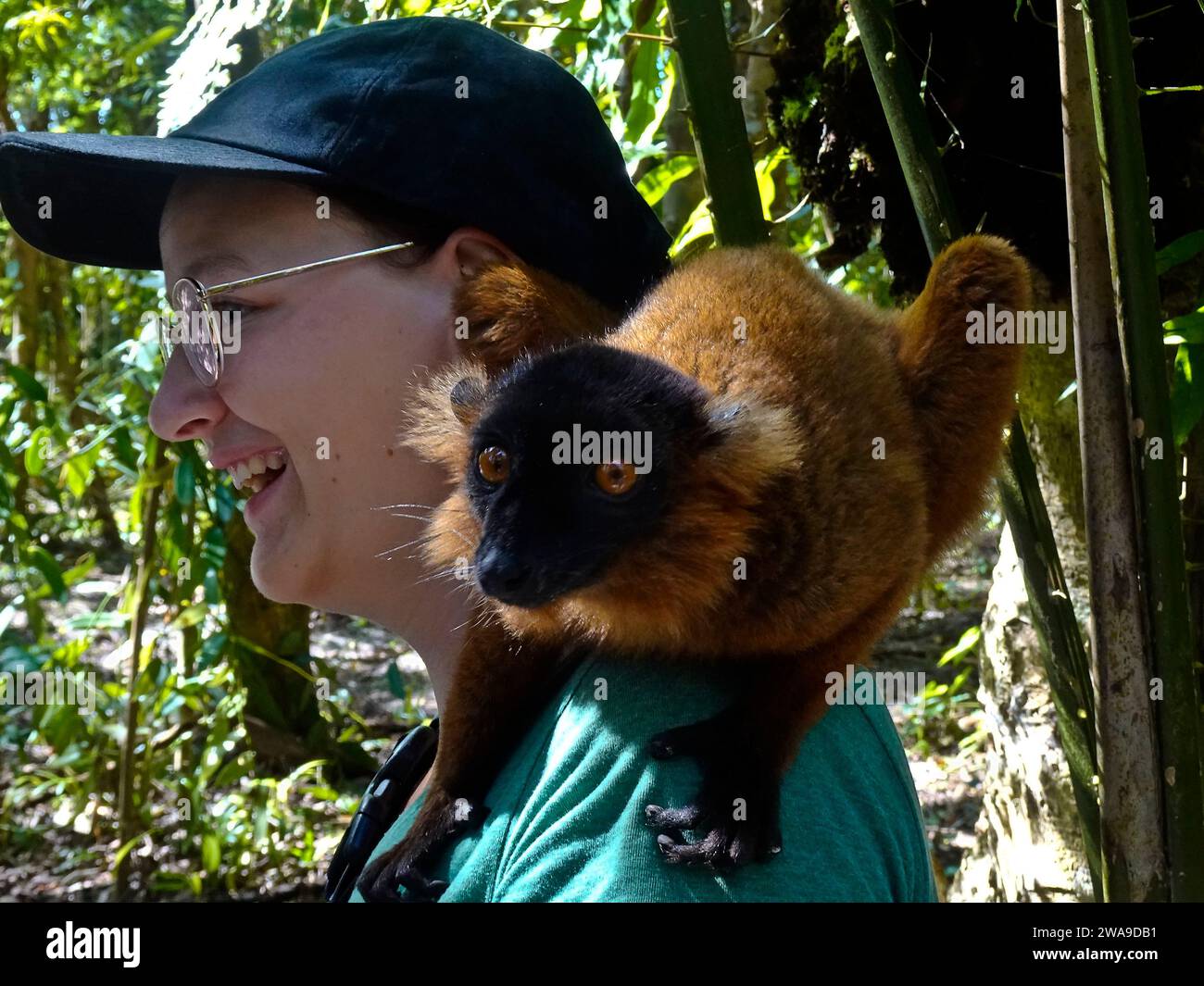 Donna con un lemuro ibrido sulla spalla nella riserva Palmarium sul lago Ampitabe - Madagascar - settembre 2023 Foto Stock