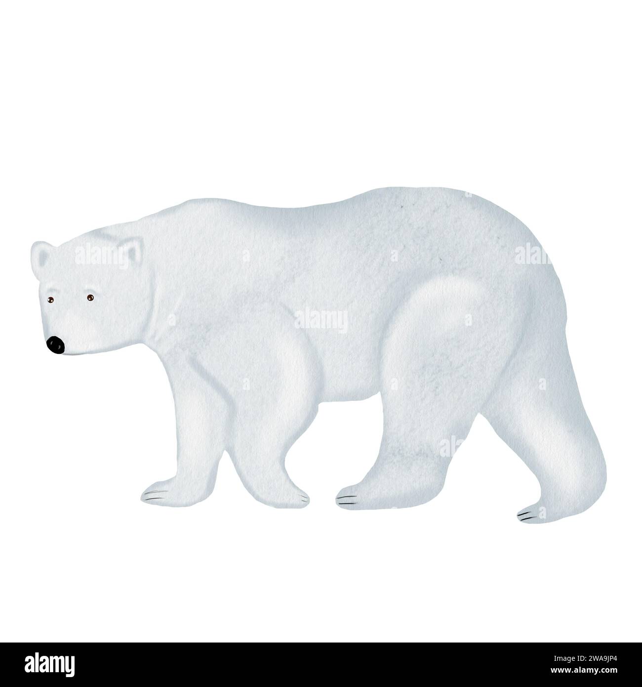 Orso polare dell'acquerello immagini e fotografie stock ad alta risoluzione  - Pagina 2 - Alamy