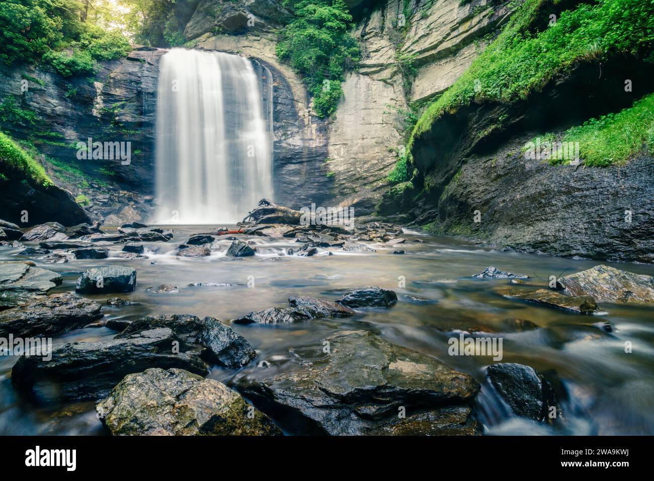 Looking Glass Falls nella Pisgah National Forest vicino a Brevard, North Carolina Foto Stock