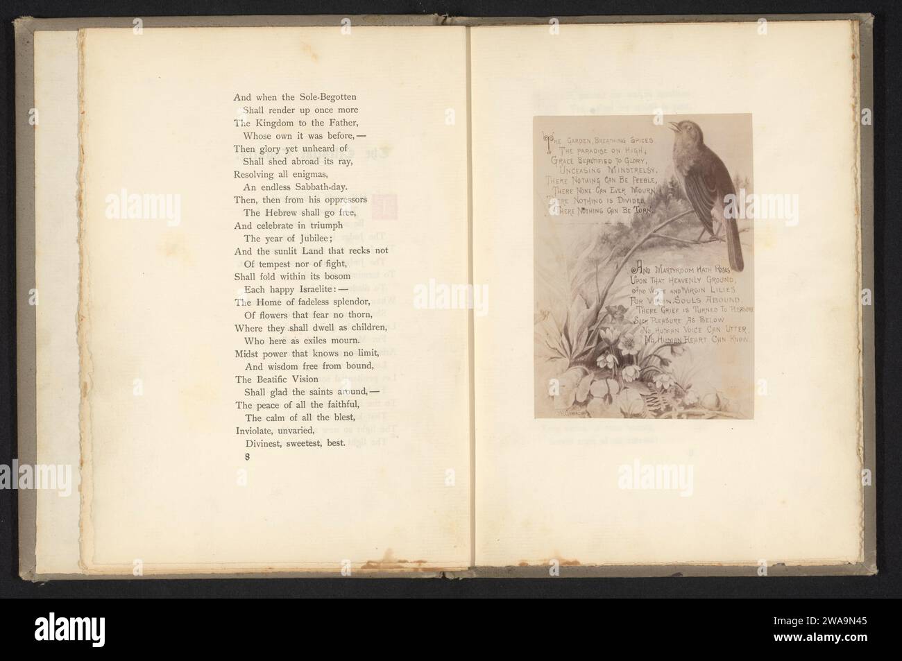 Produzione fotografica di un verso del poema The Celestial Country with Images, Anonymous, c. 1884 - in o prima del 1885 supporto fotografico fotografico stampa albumen scrittura a mano, testo scritto. uccelli Foto Stock