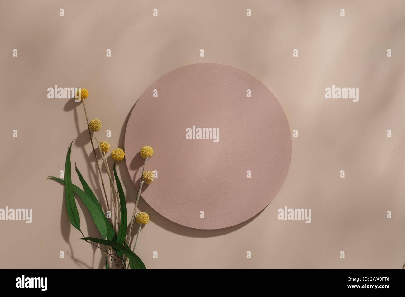 Scena minimale di un podio di forma rotonda decorato con fiori gialli su sfondo beige. Supporti geometrici per prodotti vuoti Foto Stock